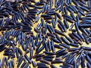ข้าวสีดำเซนต์เวียดนามข้าวส่งออกเพื่อสุขภาพ1กก. 5กก. Riz Rouge Riz - Product Image 3