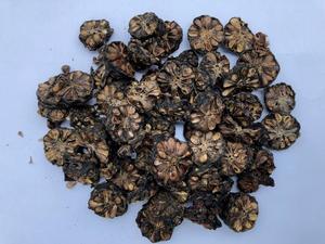 ผลไม้โนนิแบบแห้ง/ฝานผลไม้โนนิ - Product Image 3