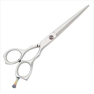 Ciseaux de coiffure en acier inoxydable à prix avantageux avec manche en plastique 6 pouces, logo personnalisé, pour salon et usage domestique - Product Image 3