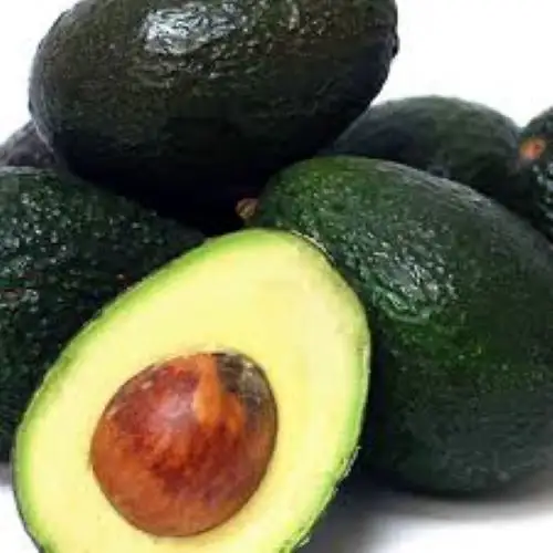 Aguacate dulce de alta calidad, precio