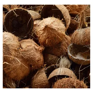 越南干椰子壳制造商生产高品质木炭的干椰子壳