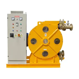 Peristaltic Pump High Quality Speed Adjustable Small Peristaltic Pump For Brunei Kamoer Peristaltic Pump
