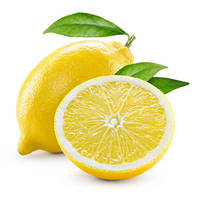 Citron Vert Jaune Premium Frais 100% Mûr, Goût Acidulé, Sans Pépins, 4,5-6cm, 10kg, Bangladesh, Boissons, Jus, Marque Personnalisée