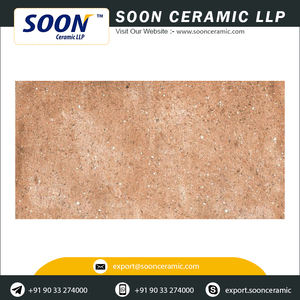 Carreaux muraux extérieurs en porcelaine, 300x600mm, carreaux numériques, Design - Product Image 4