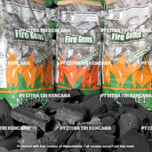 ถ่านการผลิตบรรจุภัณฑ์ถ่านกระเป๋าผลไม้ไม้ BBQ CHARCOAL,BBQ GRILL,กาแฟไม้ถ่านปัฟโลดาร์คาซัคสถาน ASIA - Product Image 3