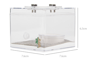 มดเลี้ยงผลิตภัณฑ์มดพลาสติกใสเก็บกล่อง - Product Image 2