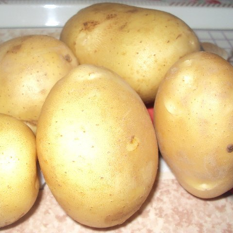 Картофель из красной кожи из пакистана