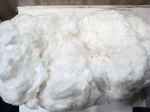 Exportation de haute qualité coton Comber Noil blanchi/non blanchi pour la filature excellent prix-motif brut (Mme Xavia + 84333371330) - Product Image 2