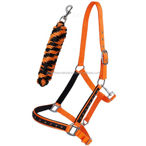 Caballo ecuestre duradero ecológico de alta calidad, Halter de nailon, acolchado suave de neopreno, accesorio de latón, fabricante de logotipo personalizado - Product Image 4