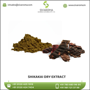 High Quality Natural Wild Shikakai Herbal Extract (Powder) for <b>Hair</b> Growth Drum Packaging Wholesale Bulk Supply - Product Image 3