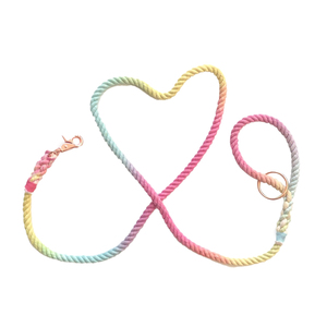 Correa de entrenamiento para perros retráctil ajustable de lujo Multicolor algodón acolchado doble gancho sólido personalizado encaje directo perro plomo - Product Image 2