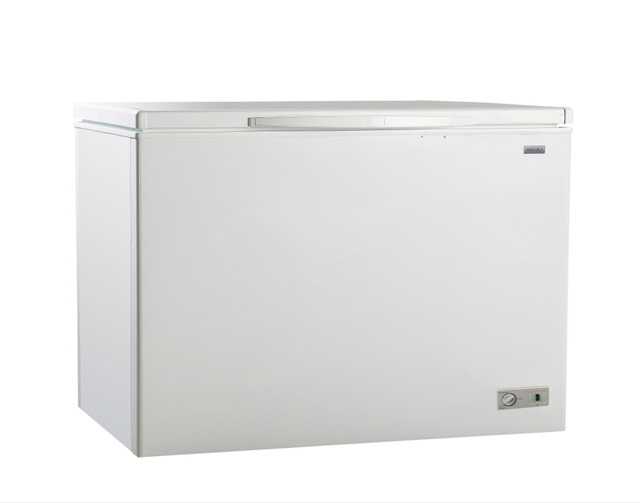 Factory Chest Freezer 100 to 400L Horizontal Single Temperature Copper Tube Commercial Household Deep Freezer