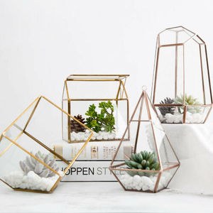 Terrario geométrico de Metal para jardín, soporte de mesa para plantas suculentas, jarrón de vidrio - Product Image 6