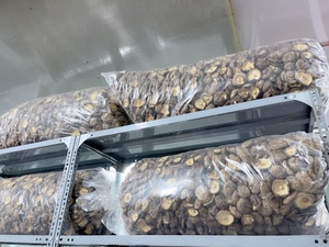 Tige de champignon Shiitake séché/Vente en gros de champignons Shiitake du Vietnam au meilleur prix Mme Lily - Product Image 6