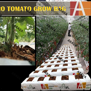 Sacs d'apprentissage en tomate, pour fabricants d'italie, à haut prix - Product Image 2