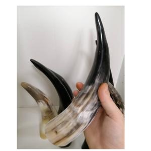 Corne de vache décoratif et poli de haute qualité, corne de bœuf naturelle pure, artisanat et vaisselle pour la maison et vente - Product Image 2