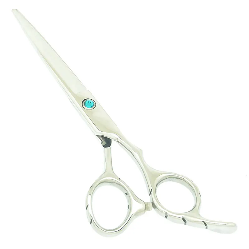 Ciseaux de coiffure Ciseaux de coiffeur Cheveux Ciseaux de coiffeur professionnels Instruments de beauté en acier inoxydable