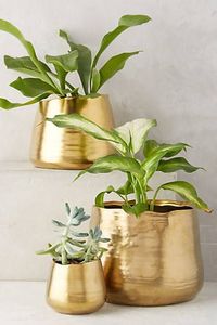 Hot Selling Iqbal Collection Galvanized Gold Plated Shape Eco-Friendly Durable Indoor Outdoor <b>Flower</b> Pot Planter for Decoration - Product Image 2