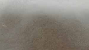 Noix de coco desséchée de haute qualité - Product Image 5