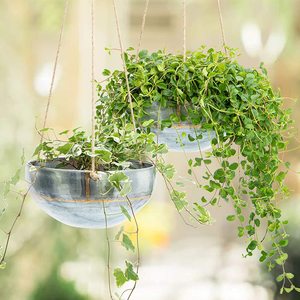 hot selling attractive galvanized hanging <b>planter</b> for fruits <b>vegetable</b> and stems plantation <b>planter</b> galvanized flower pot - Product Image 1
