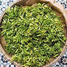 Produit agricole de haute qualité Telosma Cordata en provenance du Vietnam - Product Image 3