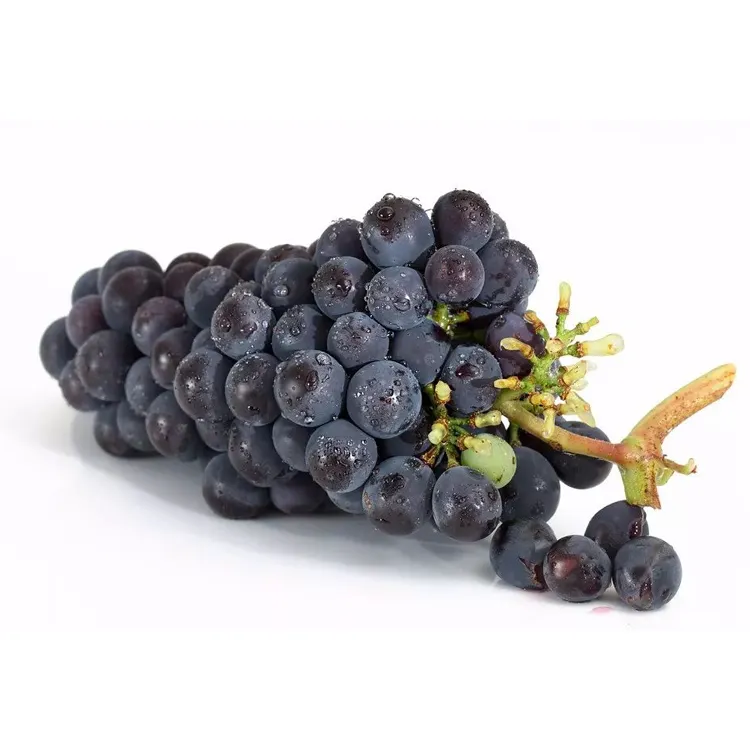 Export superior seedless fruits grapes fresh red globe seedless grapes