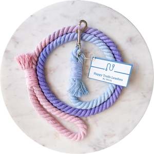 Dog Leash Set Leather Dog <b>Collar</b> - Product Image 1