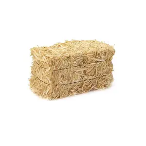 Wheat Straw , Wheat Hay , Animal Feed