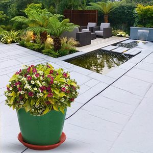 พรีเมี่ยมที่มีคุณภาพที่แข็งแกร่งดอกไม้ชาวไร่สำหรับตกแต่งบ้าน - Product Image 4