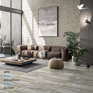 การเปิดตัวชุดใหม่ราคาที่ดีตกแต่งผนังภายในสีทองงาช้าง60X60เซรามิกกระเบื้องผนังพื้นตกแต่ง - Product Image 2