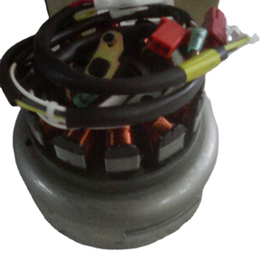 MAGNETO ASSY ES N3060340 Pièces automobiles pour moto TVS - Product Image 1