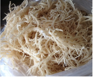 Ana S IRIH SEEAM//N/Ana - Product Image 6