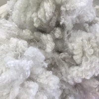 Fibre discontinue HCS PSF en silicone conjugué creux recyclé 7D/15D pour le filage, le béton, les retardants de flamme, les tissus non tissés du Vietnam