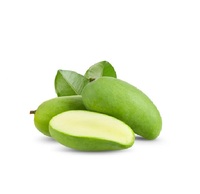 Mangga Segar Alami Manis Aromatik Berkualitas Tinggi Merek CTC Kelas 26cm 3kg Buah Mangga Bangladesh Diekspor Secara Global Harga Rendah