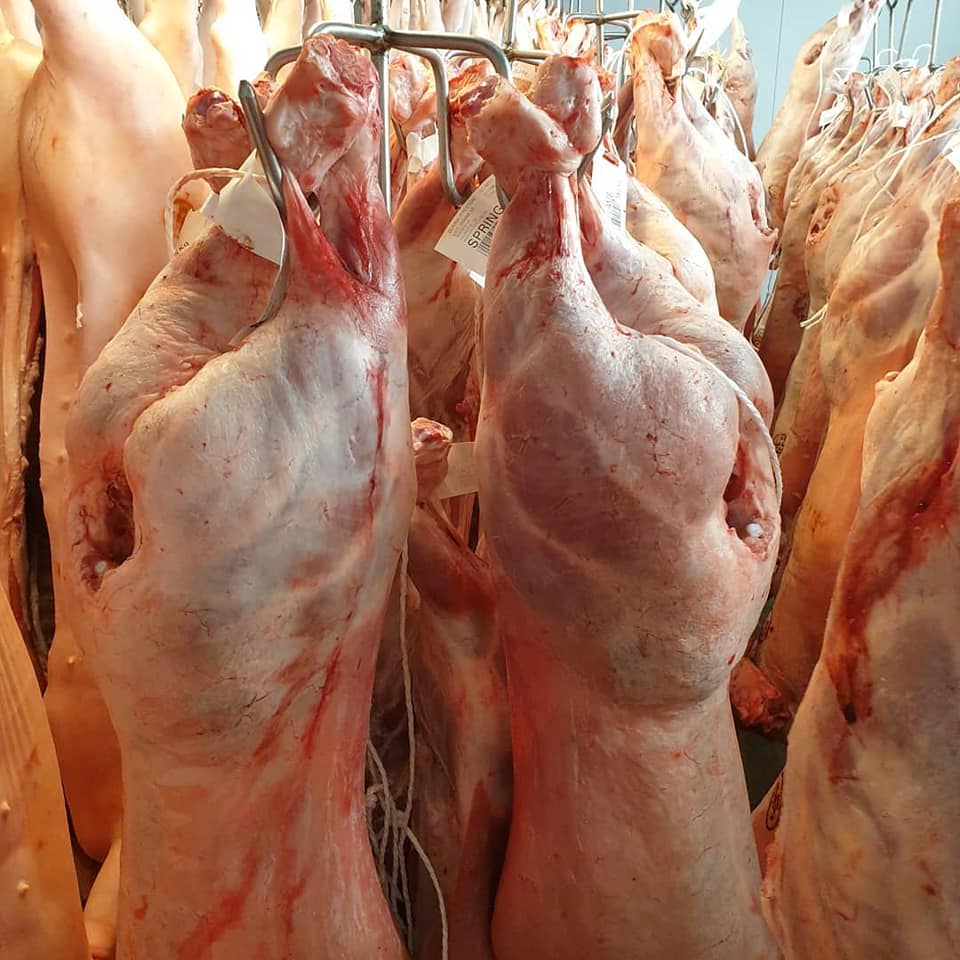 Замороженное мясо ягненка