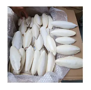 Hai Piao Xiao/Mo yu gu Dried Cuttlefish Bone /Squid Bone Parrot Food Animal Bird Feed From Vietnam