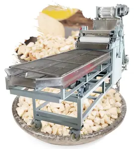 Automatische Coconut Bean Erdnuss Zerkleinerung Mandel Schneiden Maschine Kraut Brecher Cashew Mutter Hacken Industrielle Mutter Chopper Für Verkauf