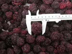 Mejor calidad dulce fresco/congelado delicioso Blackberry grado A-venta al por mayor/A granel - Product Image 5