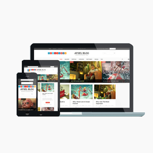 PHP Website Design and Development Services in India | Top Notch PHP Integration with Flash | Flex Services by Webroot Infosoft - Product Image 4