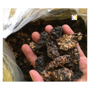 ผลไม้โนนิแห้งครึ่งตัดมาตรฐานสูงสำหรับชาสมุนไพรจากเวียดนามผู้ผลิตที่มีการแข่งขันมากที่สุดราคา - Product Image 6