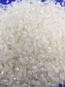 ข้าวซูชิญี่ปุ่นข้าวญี่ปุ่นญี่ปุ่นญี่ปุ่นต้นตำรับเวียดนาม1กก. 5กก. 10กก. 25กก. Rz arroz w/ A 0084 989 322 607 - Product Image 5