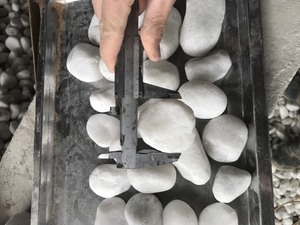 Cailloux blancs polis du Vietnam pour la décoration de jardin - Product Image 5