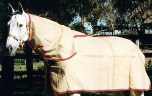 Tapis de Jute Cheval - Product Image 2