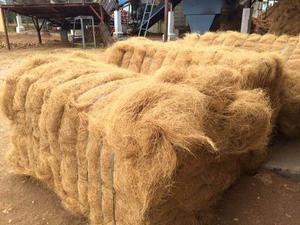 Grado de fibra de coco de Vietnam, precio competitivo - Product Image 5