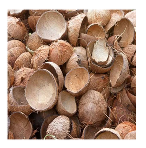 Carcasa de coco utilizada en el hogar para decorar o hacer utensilios de cocina - Product Image 6
