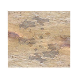 Revestimiento de Piedra Decorativo para Paredes Interiores, Revestimiento de Piedra Forest Fire, Láminas de Piedra para Compradores al por Mayor - Product Image 1