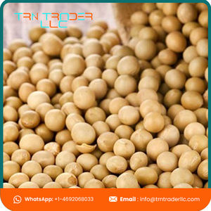 Fabricante profesional soja amarilla orgánica barata al mejor precio - Product Image 5