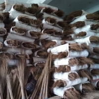 Long Balai Coco Bâtons/De Noix De Coco Naturelle Bâtons de Balai pour le Nettoyage des Sols (Lee Tran: + 84987731263) - Product Image 6