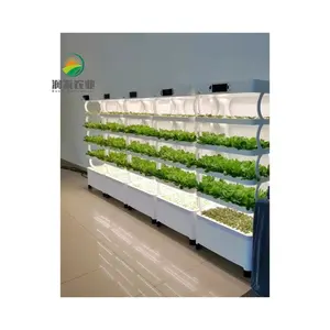 실내 품질 Skyplant Aquaponics 전체 성장 시스템 수직 수경 농업 정원 도구