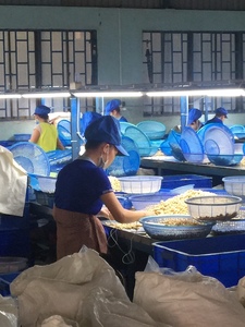 เม็ดมะม่วงหิมพานต์หักเวียดนามเม็ดมะม่วงหิมพานต์ดิบ W240 ราคาดีขายส่งสูญญากาศราคาถูกจํานวนมากเครื่องเทศดีบุกขายส่งเครื่องเทศเกรด +84368591192 - Product Image 4